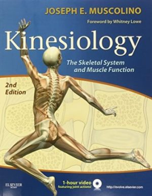 Test Bank for Kinesiology 2nd Edition by Muscolino