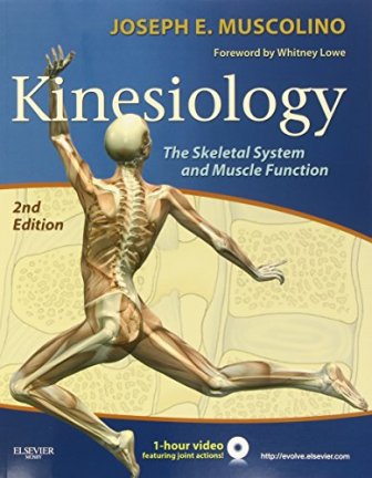 Test Bank for Kinesiology 2nd Edition by Muscolino