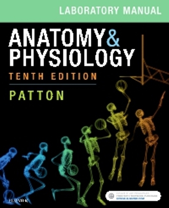 Test Bank for Anatomy and Physiology 10th Edition by Kevin T. Patton