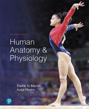 Human Anatomy and Physiology 11th Edition Marieb