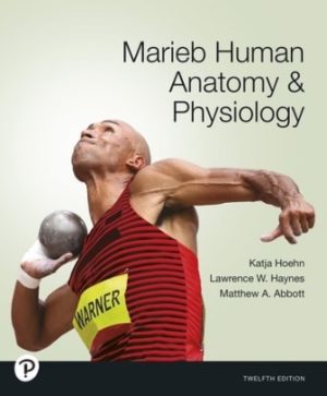 Marieb Human Anatomy and Physiology 12th Edition Hoehn