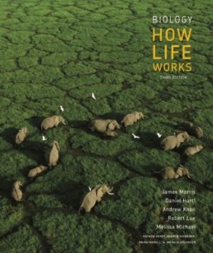 Biology How Life Works 3rd Edition Morris