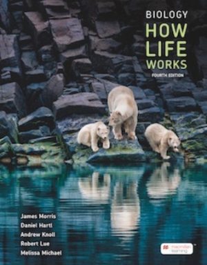 Biology How Life Works 4th Edition Morris