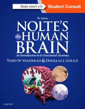 Nolte's The Human Brain 7th Edition Vanderah